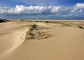 Ara Dune Hotel 5