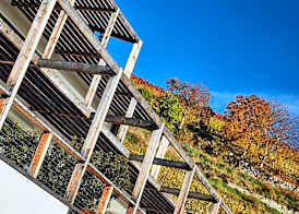 byHaller Suites & AO Restaurant 2