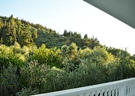 Paradise Beach Apartments 5