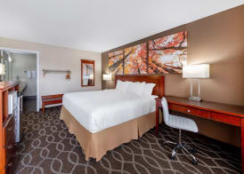 Days Inn by Wyndham St. Robert Waynesville/Ft. Leonard Wood 5