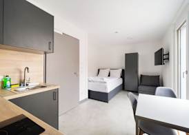 Homaris Apartments Therese 4