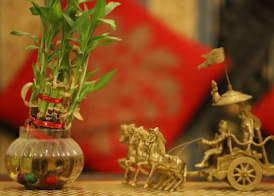 The Kothi Heritage 4