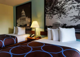 Super 8 Alexandria by Wyndham 4