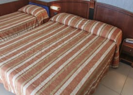 Hotel Rex Rimini 5
