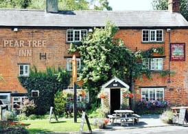 The Pear Tree 3