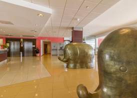 Hotel Caribe IBIZA 4