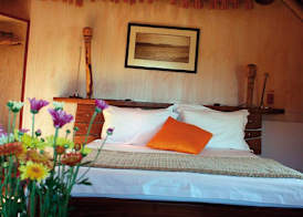 Stiltz Guest House 4