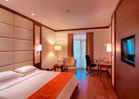 Royal Orchid Resort & Convention Centre, Yelahanka Bangalore 5