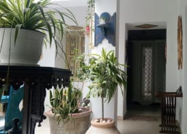 El Patio Courtyard House 5