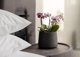 Regal Hotel Mitropoleos 5