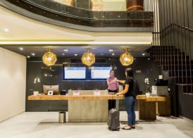 ibis Cucuta 2