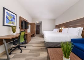 Holiday Inn Express & Suites RUSKIN - SUN CITY by IHG 5