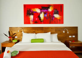 Villas Playa Samara Beach Front Resort 4