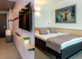 Art Hotel Pallas by Tartuhotels 4