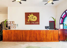 Collection O Hotel Mocambo, Boca del Río 5