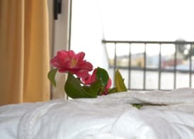 Duerming Villa De Sarria Hotel 4