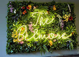 The Belmore 2