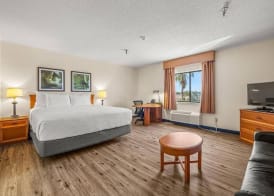 La Quinta by Wyndham Tampa Brandon West 5