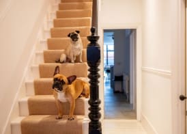 Doghouse Margate 2