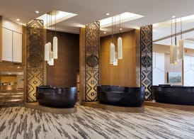 The Phoenician, a Luxury Collection Resort, Scottsdale 5
