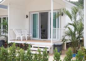 Travellers Palm 4