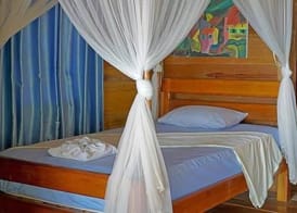 Tree House Bungalows 4