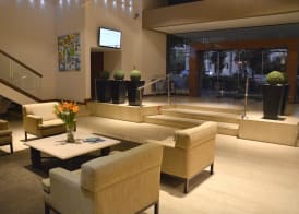 Hotel Director Vitacura 5