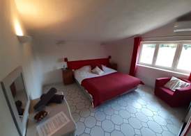 Le Vieux Platane 4