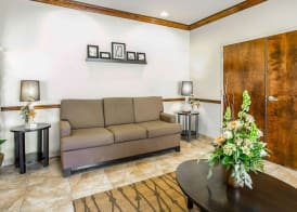 Sleep Inn & Suites Gonzales near Palmetto State Park 5