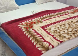 Hotel Maharaja Noida 4