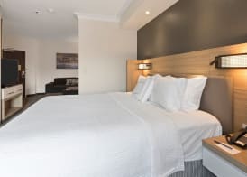 SpringHill Suites by Marriott Sacramento Natomas 5