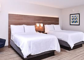 Holiday Inn Express & Suites MOUNT PLEASANT by IHG 4