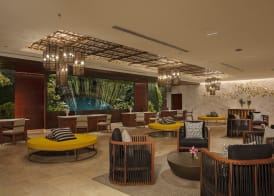 Dreams Natura Resort & Spa - All Inclusive 2