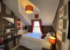 Delovely Hotel 3
