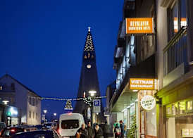 Reykjavík Downtown Hotel 3