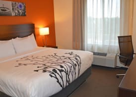 Sleep Inn & Suites Oregon - Madison 4