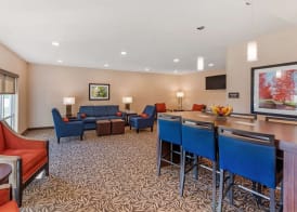 Comfort Inn & Suites near Route 66 3