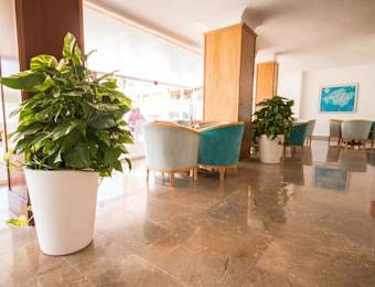 Hotel Amic Miraflores 5