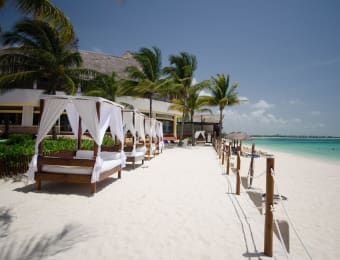 The Reef Coco Beach  Playa del Carmen Optional All Inclusive Resort