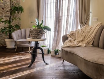 Agave in Citt, Livorno | Offerte top | lastminute.com IT