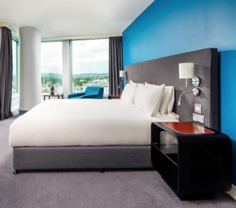 HOTEL PARK INN BY RADISSON CARDIFF CITY CENTRE CARDIFF 3* (United Kingdom)  - from £ 75