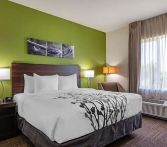 Sleep Inn & Suites Tampa South 5