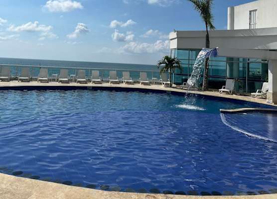 Palmetto Suite Superior 3901 1