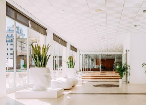 Hotel Safari 1