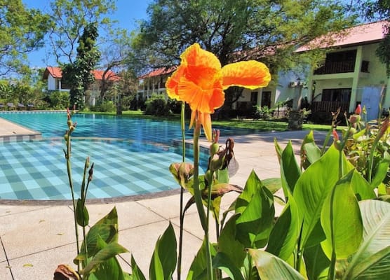 Blue Turtle Hotel 1