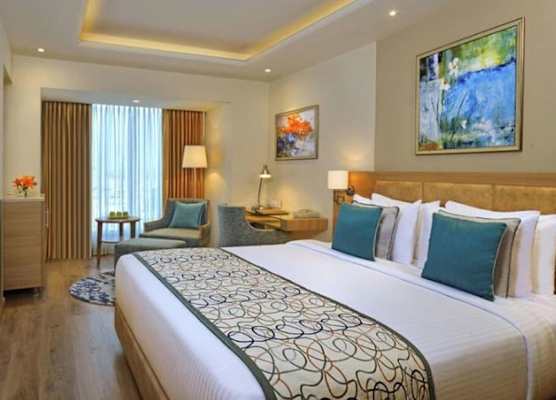 Golden Sarovar Portico 1