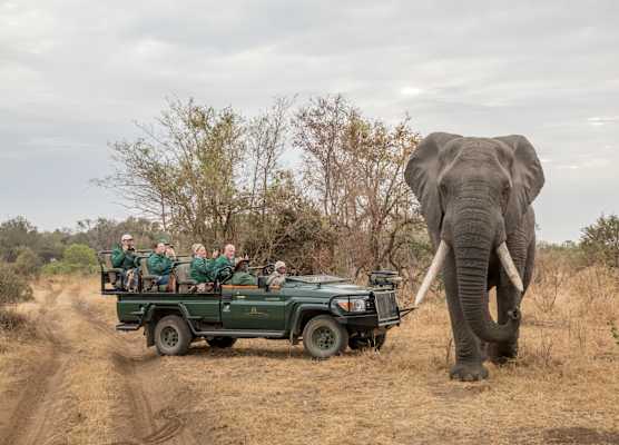 Karongwe- Shiduli Safari Lodge 1