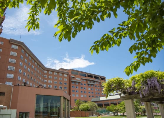 Toyako Manseikaku Hotel Lakeside Terrace 1