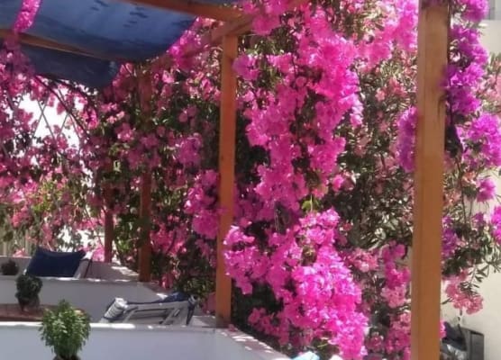Doron Hotel Delfini 1