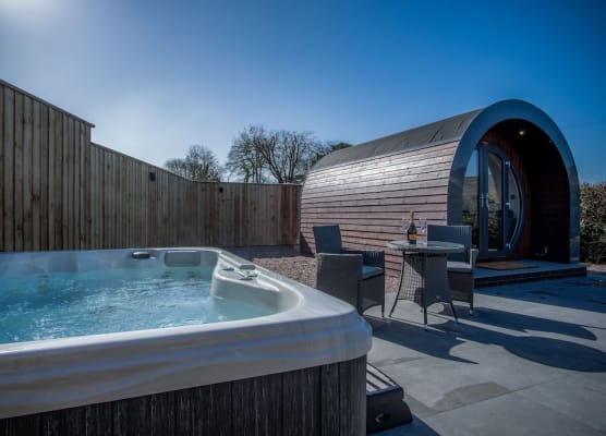 Bracken Burrows - 1 Bed Pod - New Hedges 1